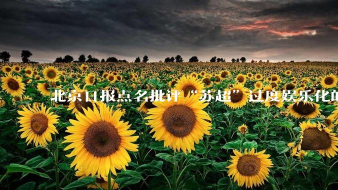 北京日报点名批评“苏超”过度娱乐化的动机是什么？